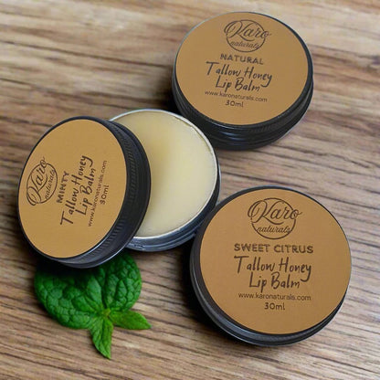 Tallow Honey Lip Balms Bundle